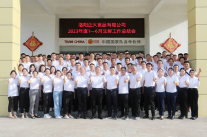 總結過(guò)去，計劃未來(lái)，協(xié)同創(chuàng  )新，再創(chuàng  )佳績(jì)！洛陽(yáng)正大舉行2023年上半年工作總結會(huì )議