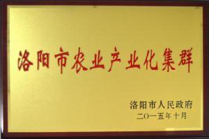 洛陽(yáng)市農業(yè)產(chǎn)業(yè)化集群